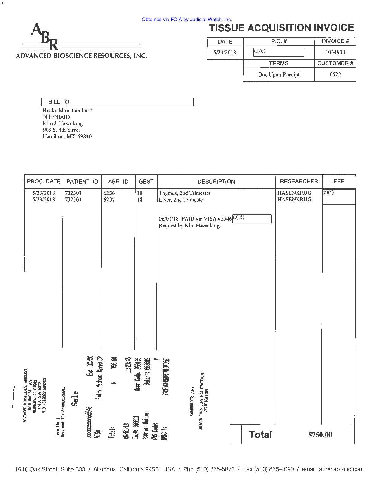JW v HHS Humanized Mice prod 1 00876 pgs 536-538