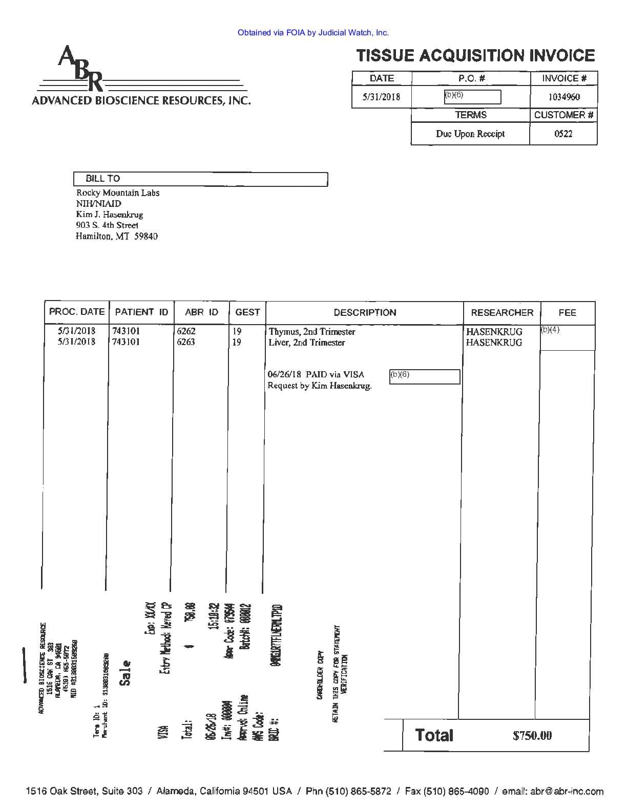 JW v HHS Humanized Mice prod 1 00876 pgs 560-562