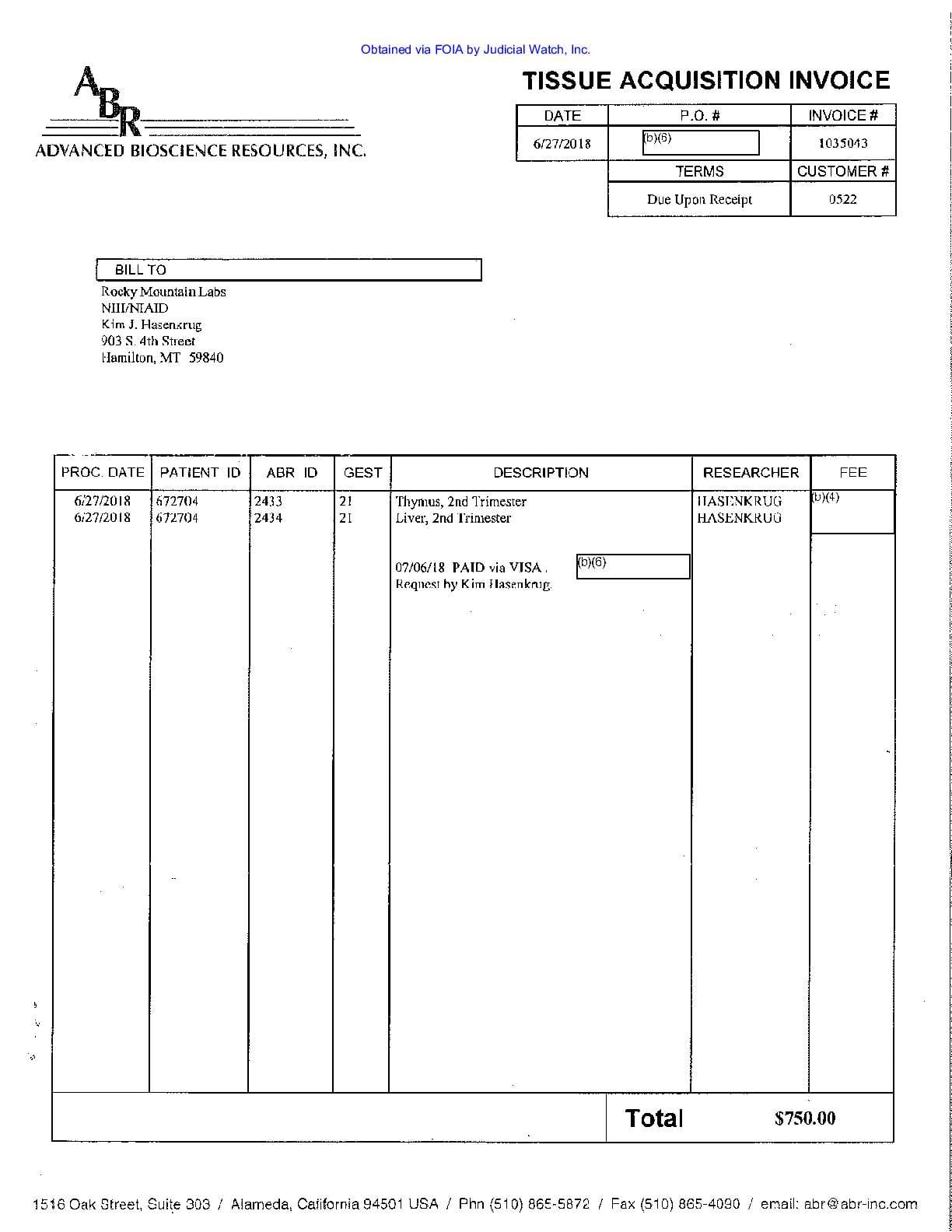 JW v HHS Humanized Mice prod 1 00876 pgs 584-586
