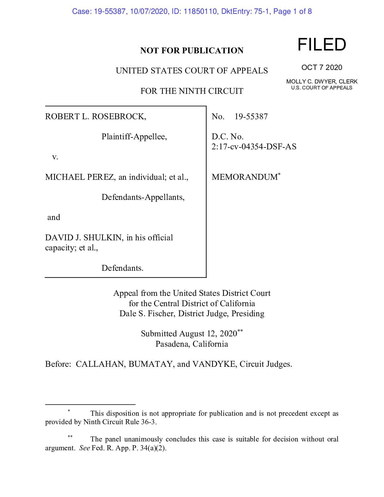 Rosebrock v Perez decision 55387 04354