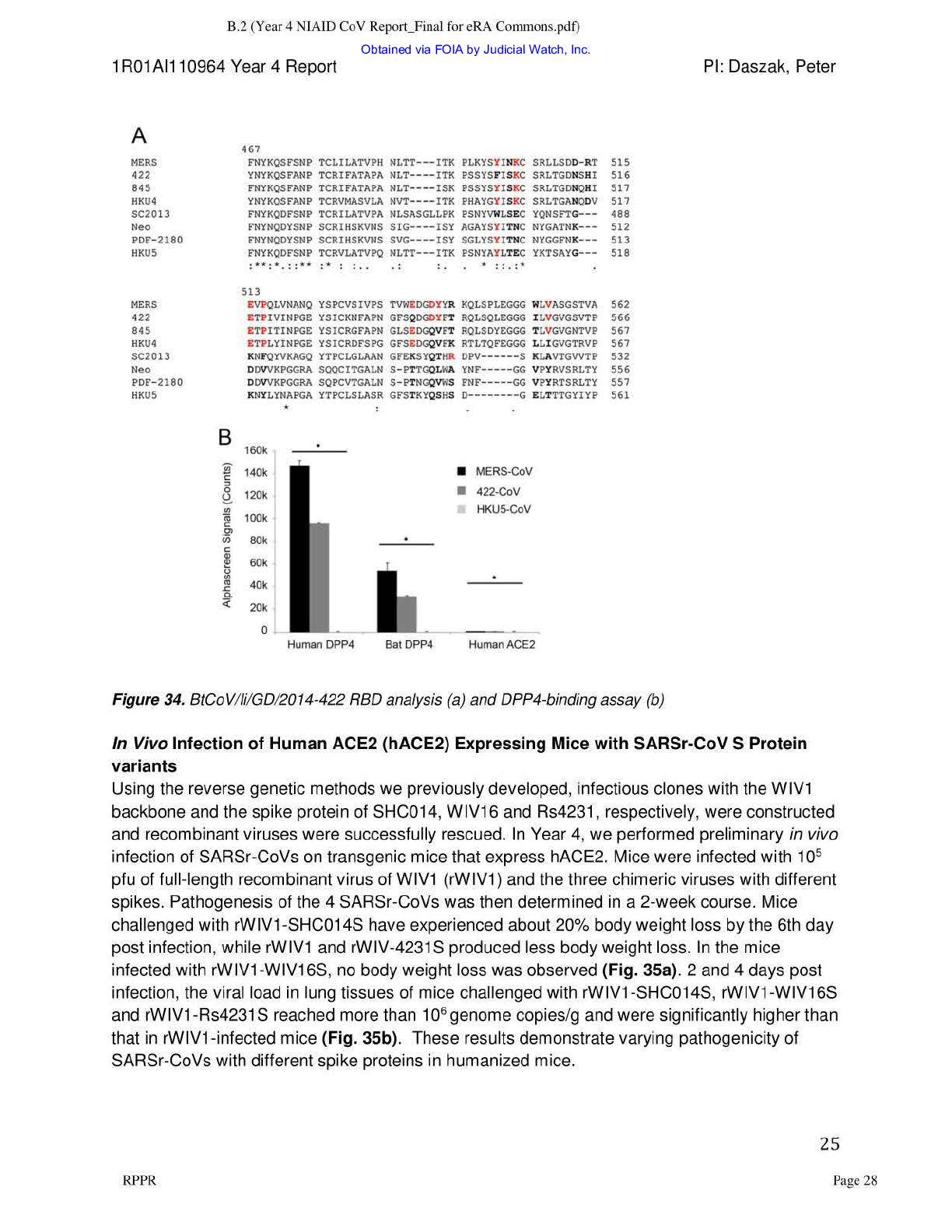 NIH EcoHealth Grant FOIA April 2023 pg 300