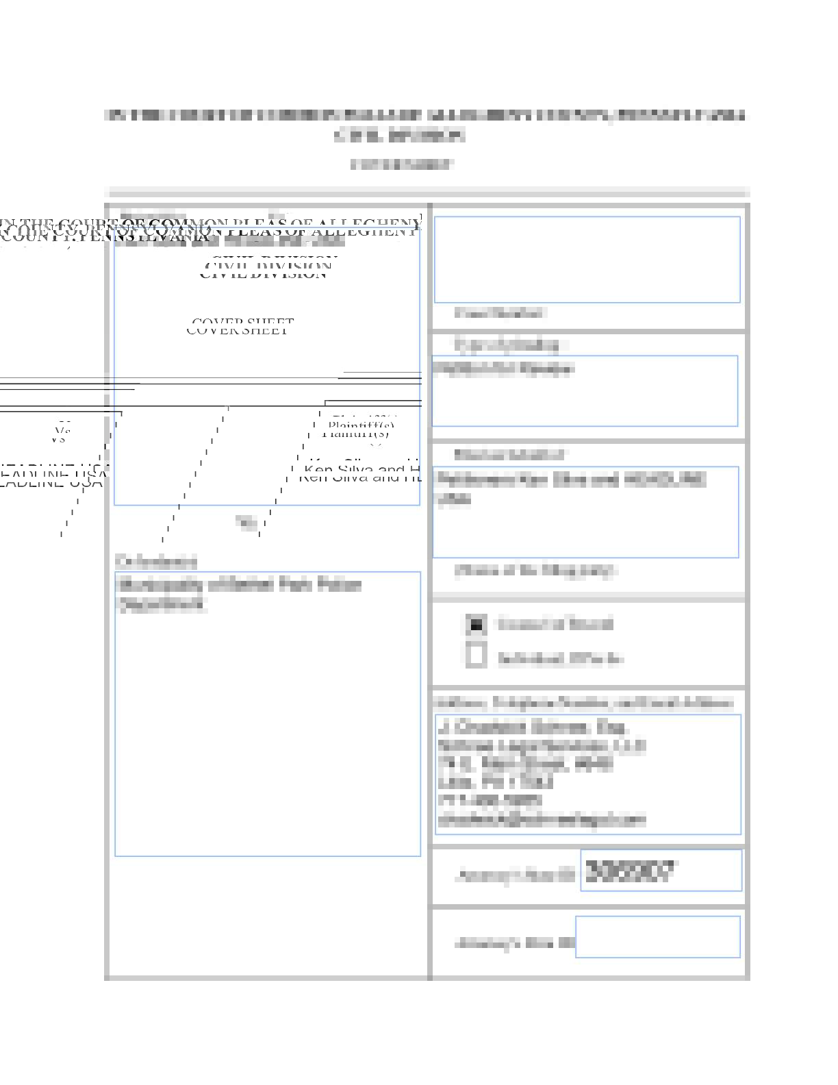 Silva et al. v. Bethel Park Police petition complaint 000675